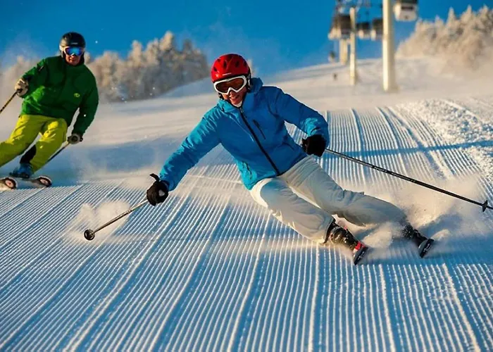 Sm Iii דירה קופאוניק